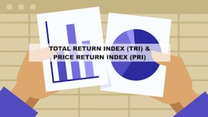 TOTAL RETURN INDEX (TRI)