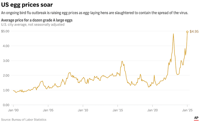 Rising Egg Prices in 2025 - Tesco Benefits - Price Chart