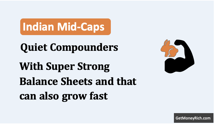 The Quiet Compounders: Indian Mid-Cap Companies With Balance Sheets Strong Enough to Survive Any Storm — and Grow After It